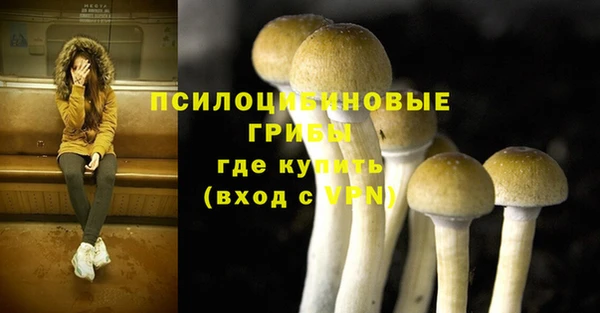 мдпв Армянск